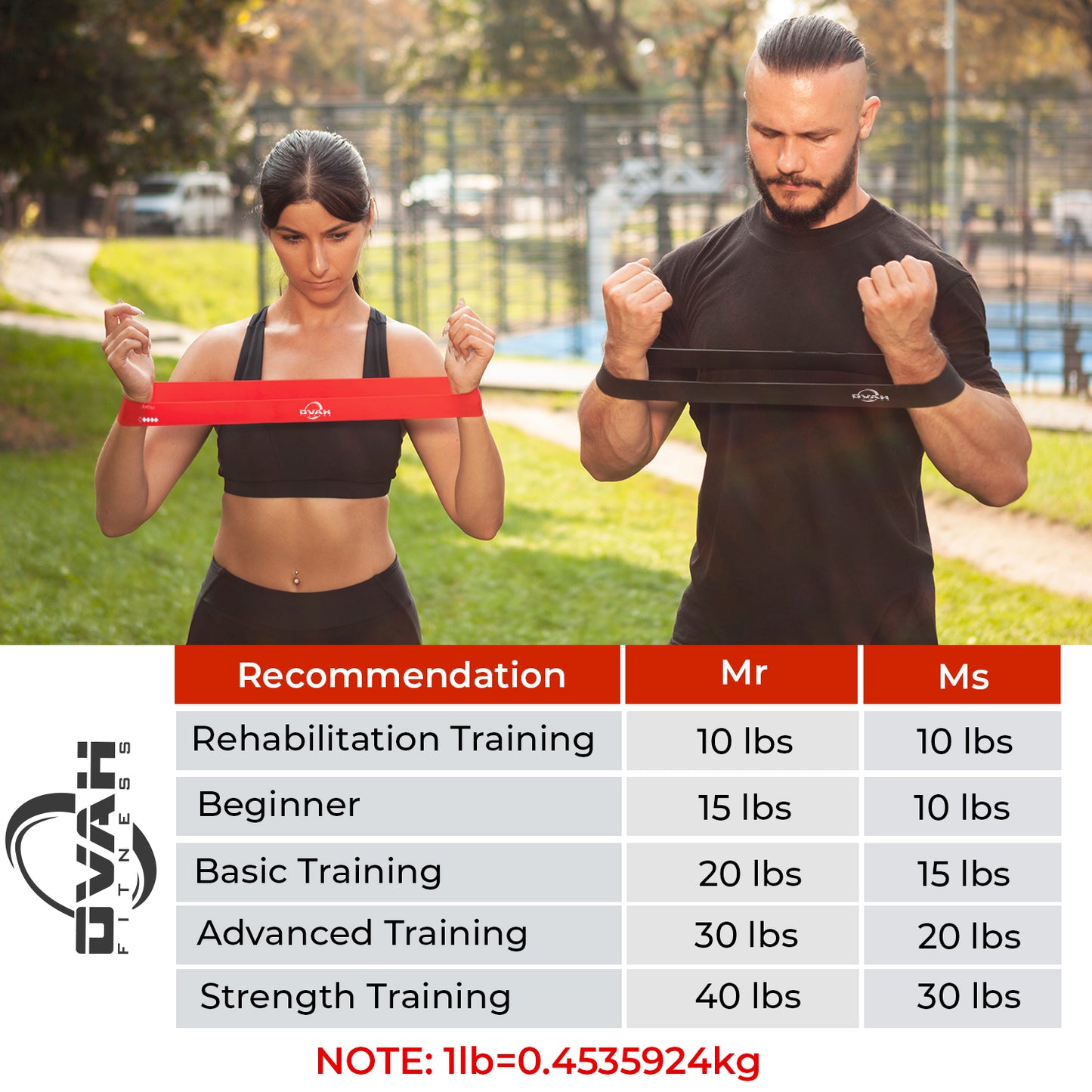 Loop Resistance Band (Blue Set)